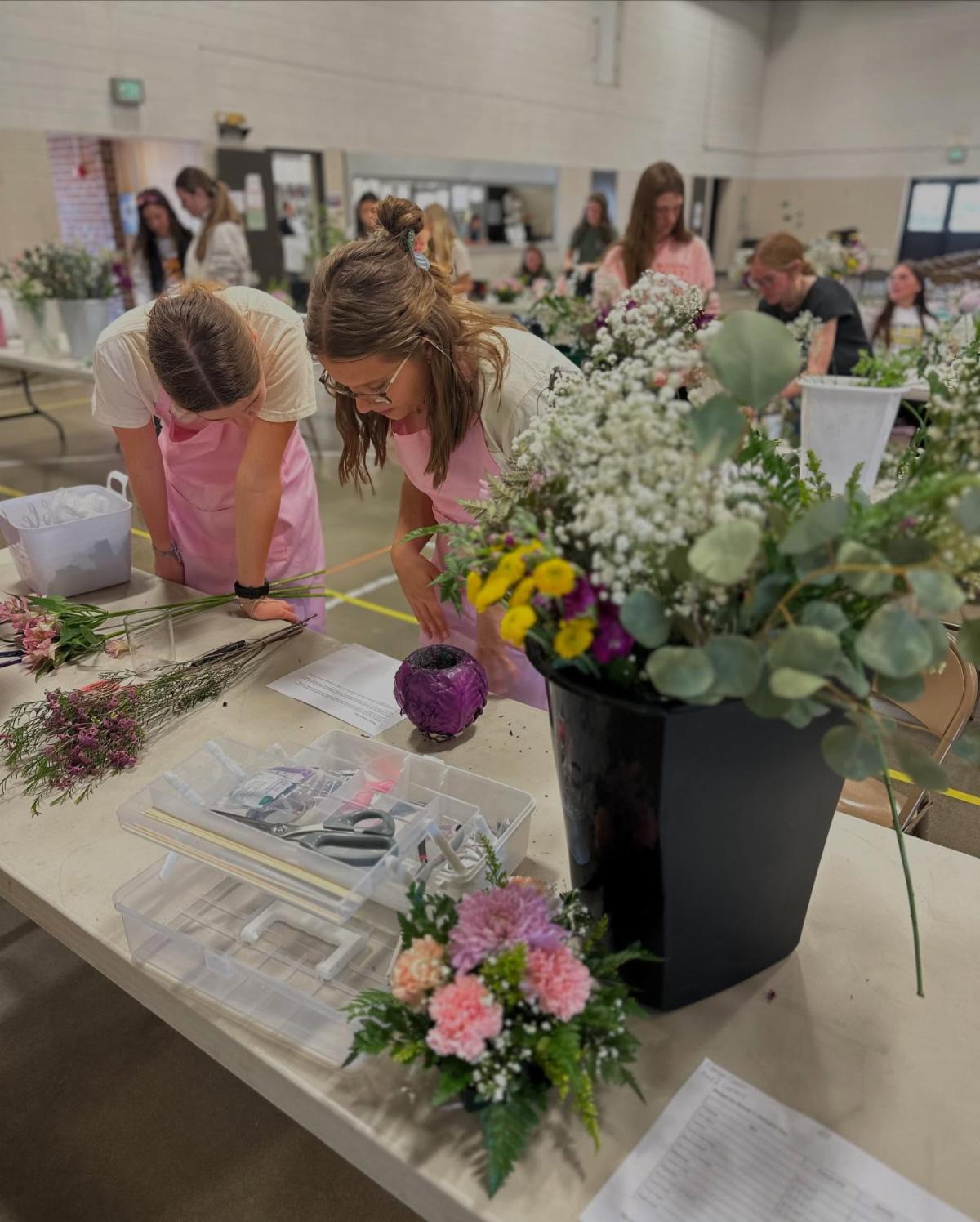 the-latest-news-from-kansas-ffa-cde-substitutions-middle-school-quiz