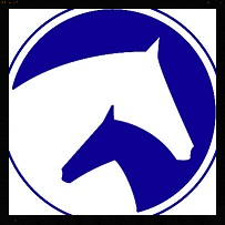 OTOBA Logo (Blue 50 percent.jpg