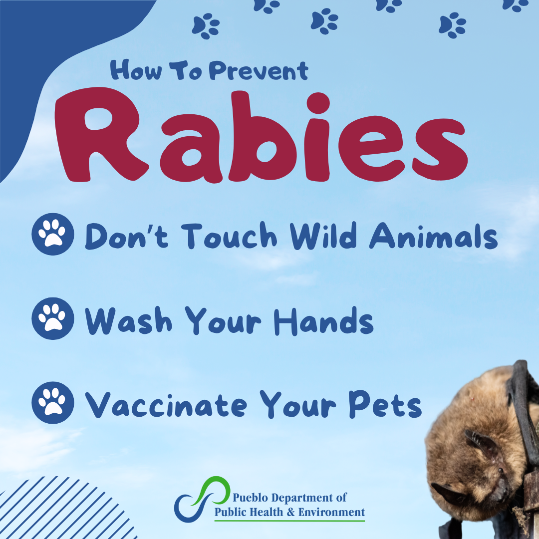 How to Prevent Rabies. Don't touch wild animals. Wash your hands. Vaccinate your pets.'