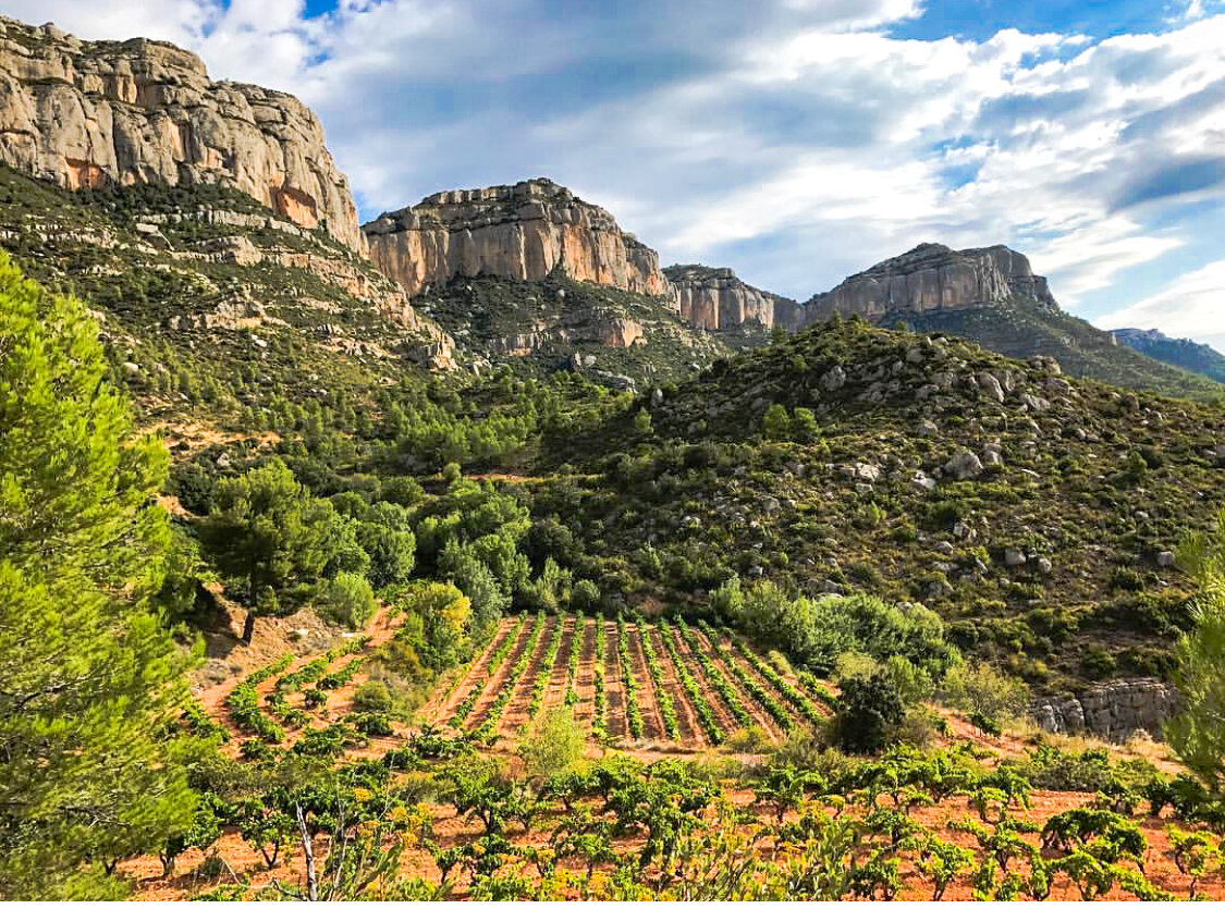 Wine Line December 9th Spanish Invasion!