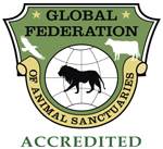 gfas