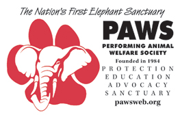 paws