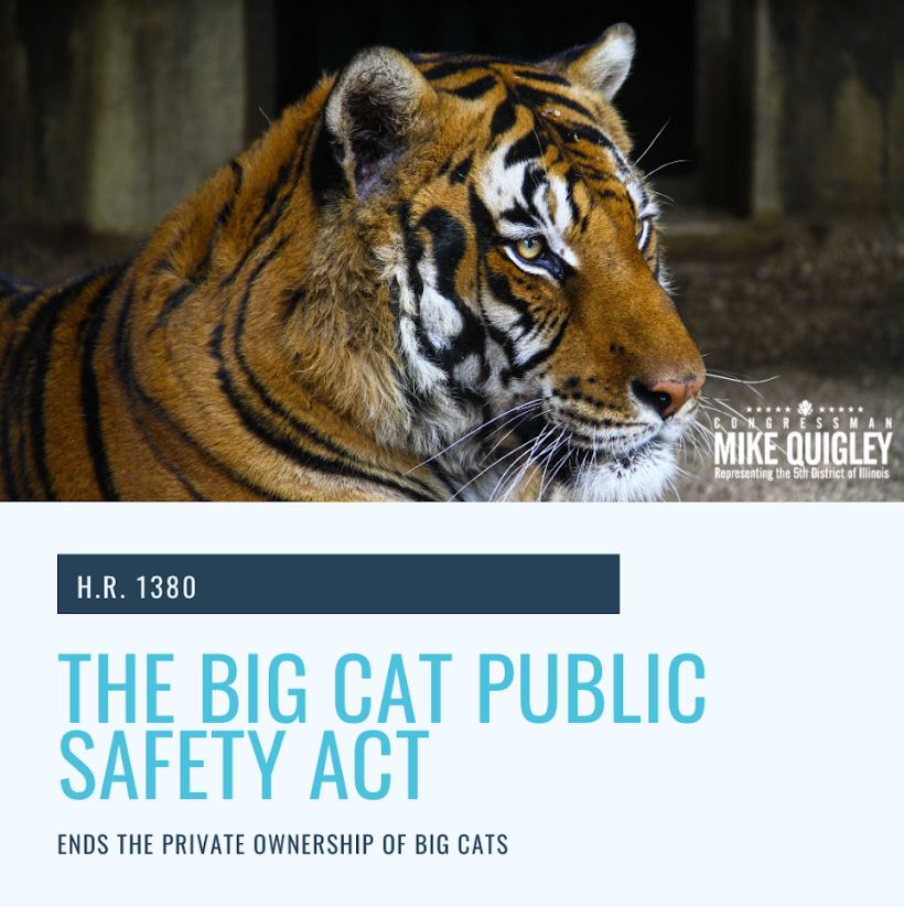 Big Cat Public Safety Act
