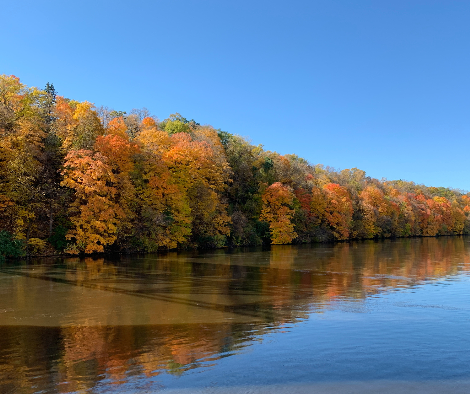 Image of colorful fall leaves along the Mississippi River in Minnesota
