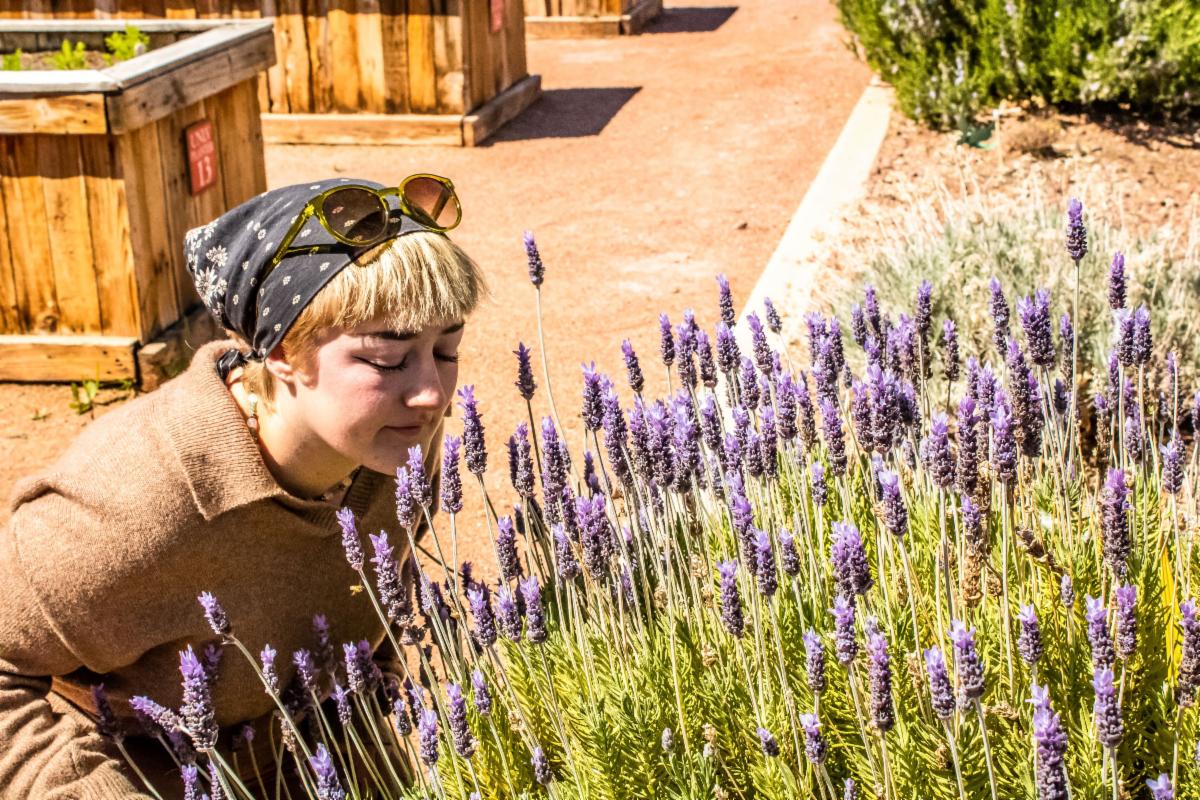 Andie stoops down to smell lavender flowers