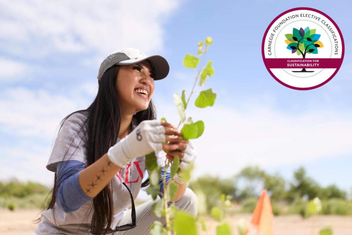 Student doing sustainability research. Includes Carnegie Classification logo - Carnegie Foundation Elective Classifications - Classification for Sustainability