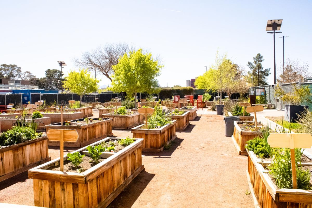 photo of the Community Garden