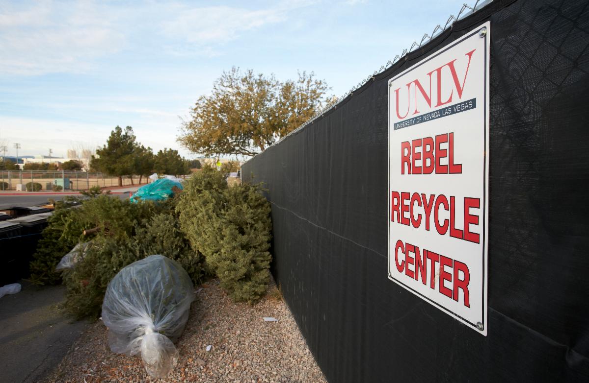 UNLV Rebel Recycle Center sign with a pile of Christmas trees
