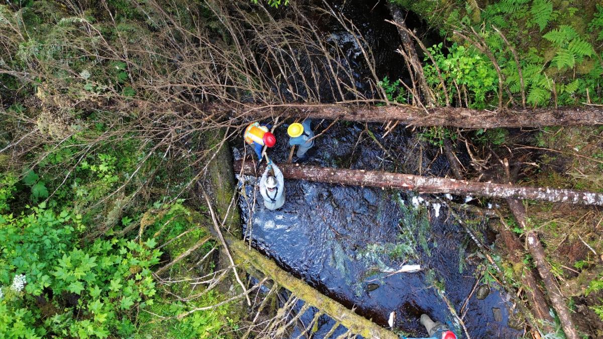 Fall Field Notes Newsletter