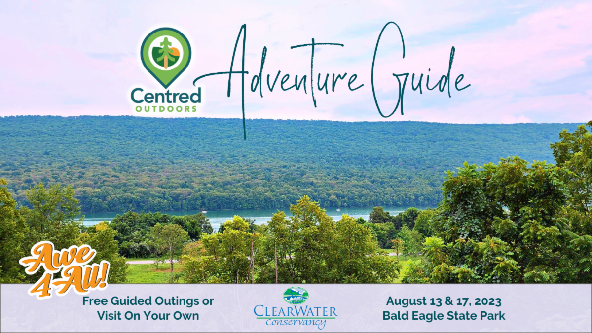 Bald Eagle State Park