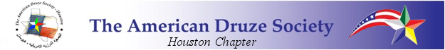 ads logo w texas houston.png