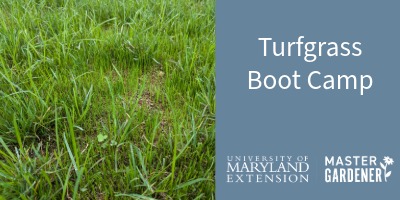 turfgrass boot camp