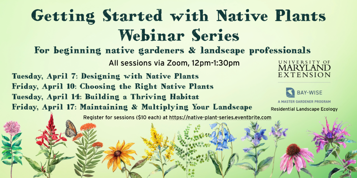 Getting Started with Native Plants webinar series