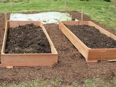 newly constructed raised beds