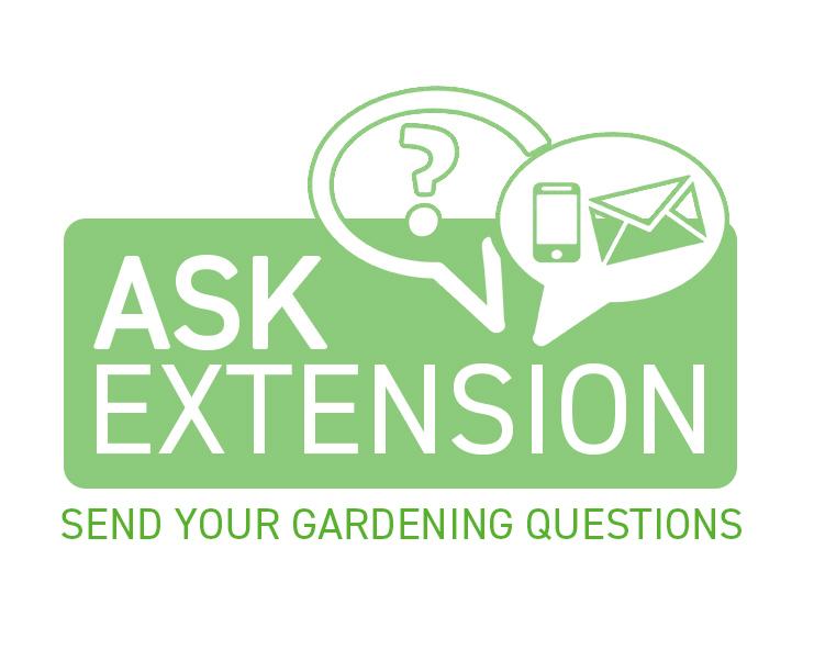 Ask Extension button