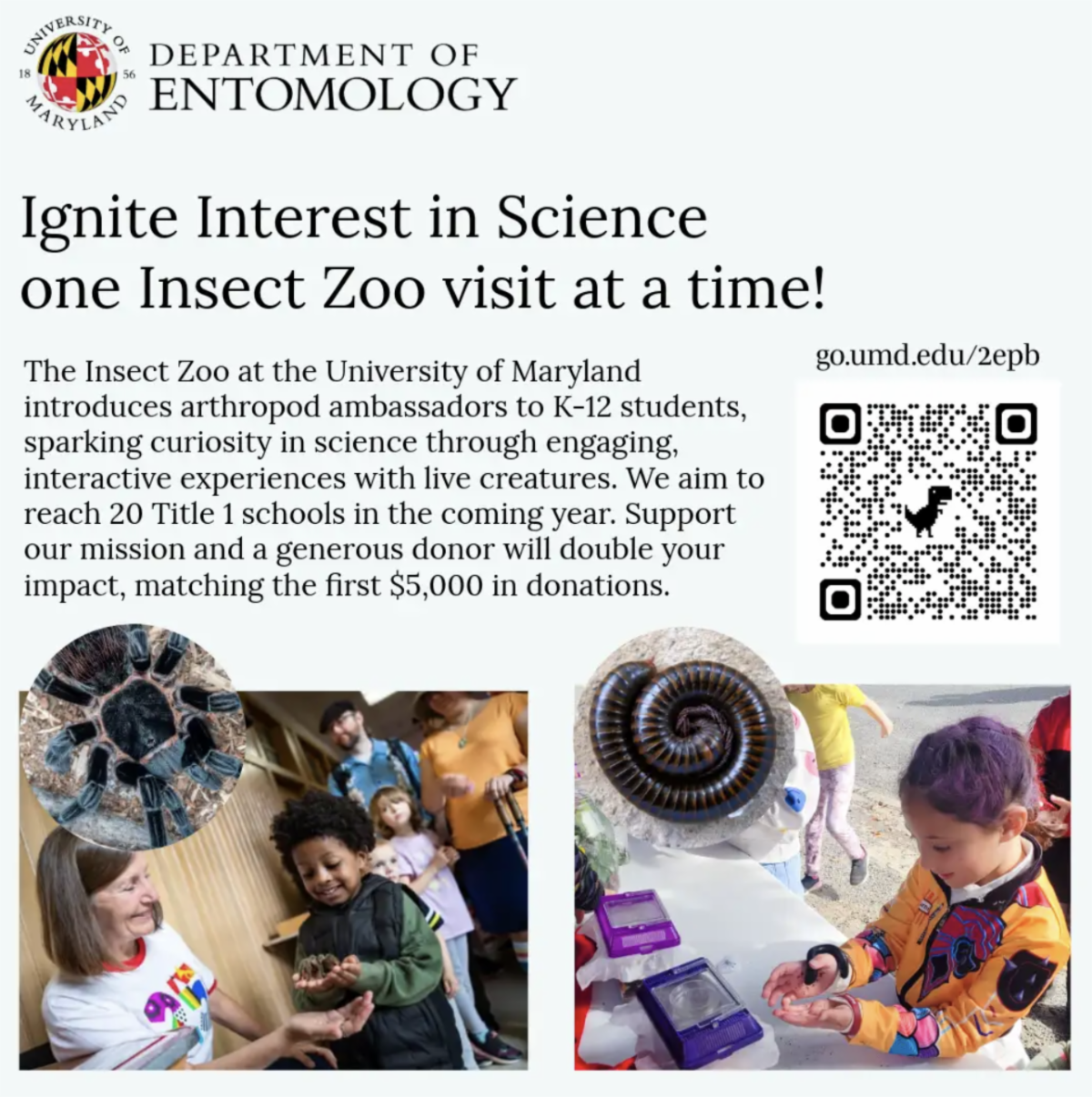 Flyer for UMD's Insect Zoon campaign