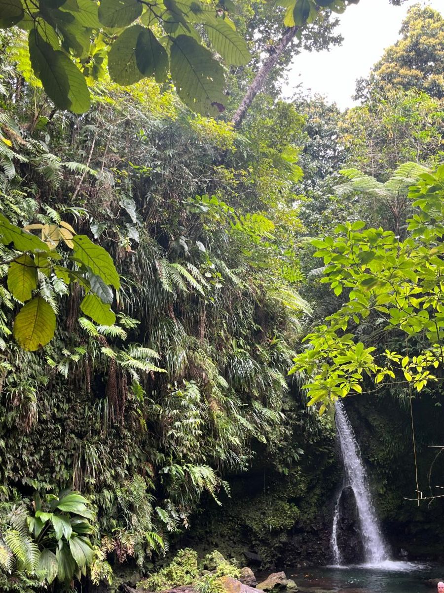 waterfall