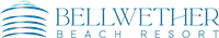 MemLogoSearch_Bellwether_Logo_Horizontal_RGB_1000px_SSf.png