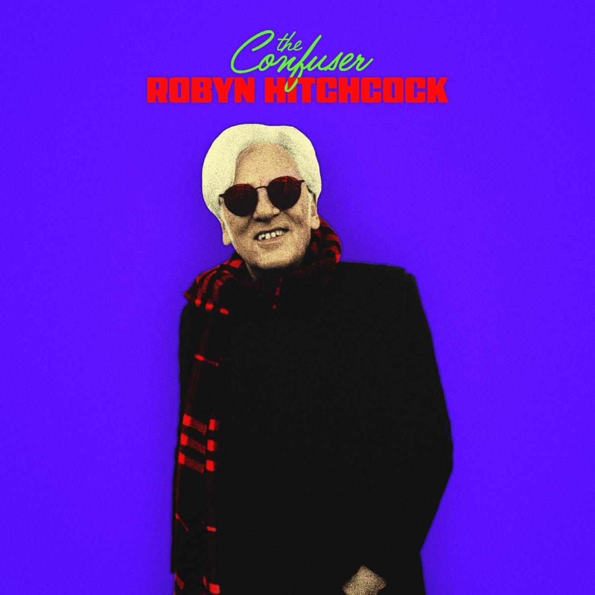 Robyn Hitchcock Releases 25th Solo Record Image