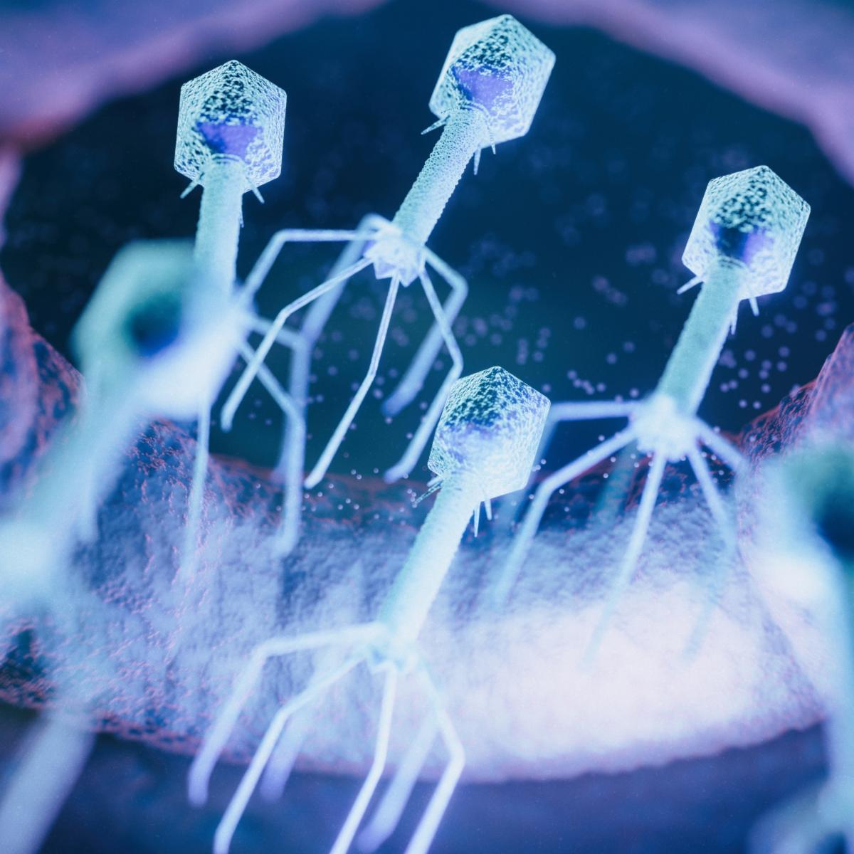 A 3D rendering of glowing blue bacteriophages with geometric heads and leg-like fibers attaching to a bacterial cell surface.