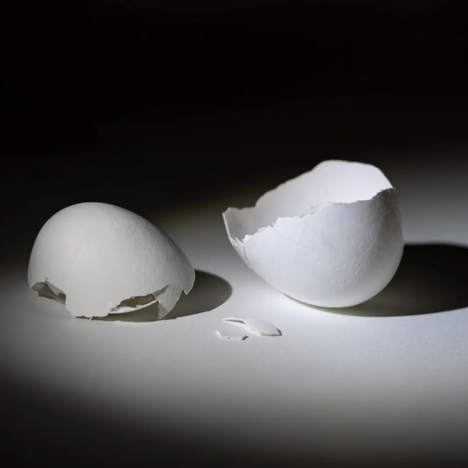 broken egg shell