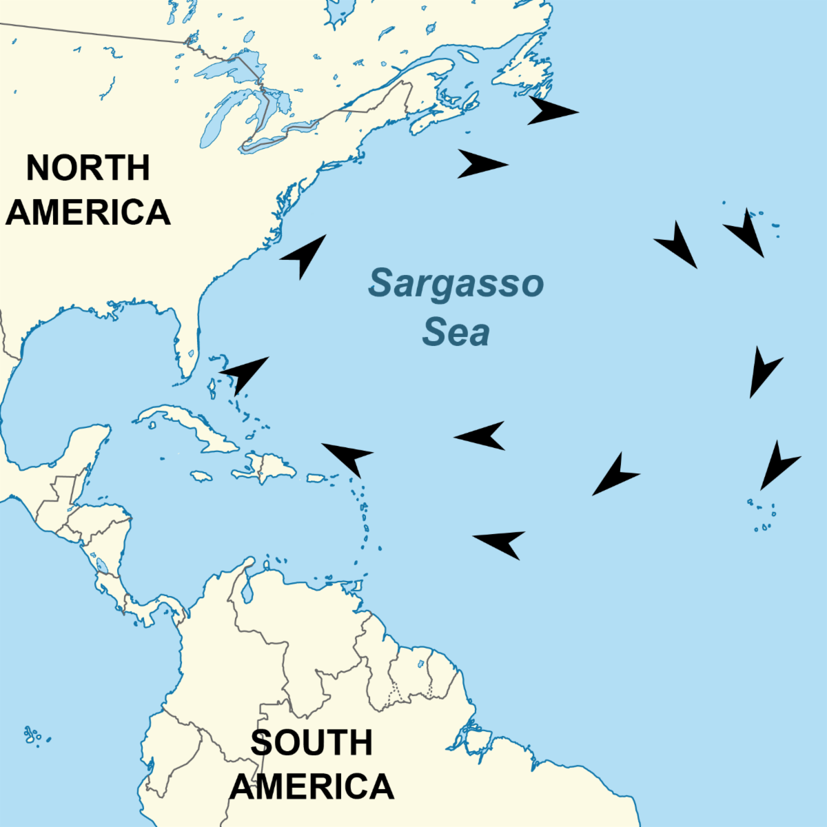 A map showing North America and South America bordered by the Atlantic Ocean, with the Sargasso Sea labeled in the center and arrows indicating its location.