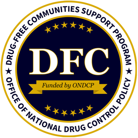 Dfc Progress Report Q A Session