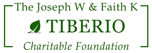 Tiberio foundation logo