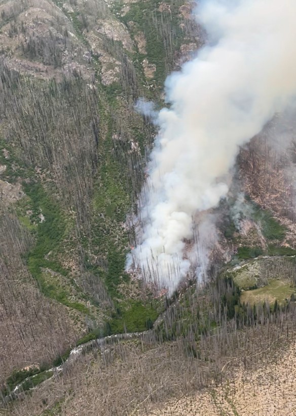 Pomas Fire in dead timber stands 6-18-2025