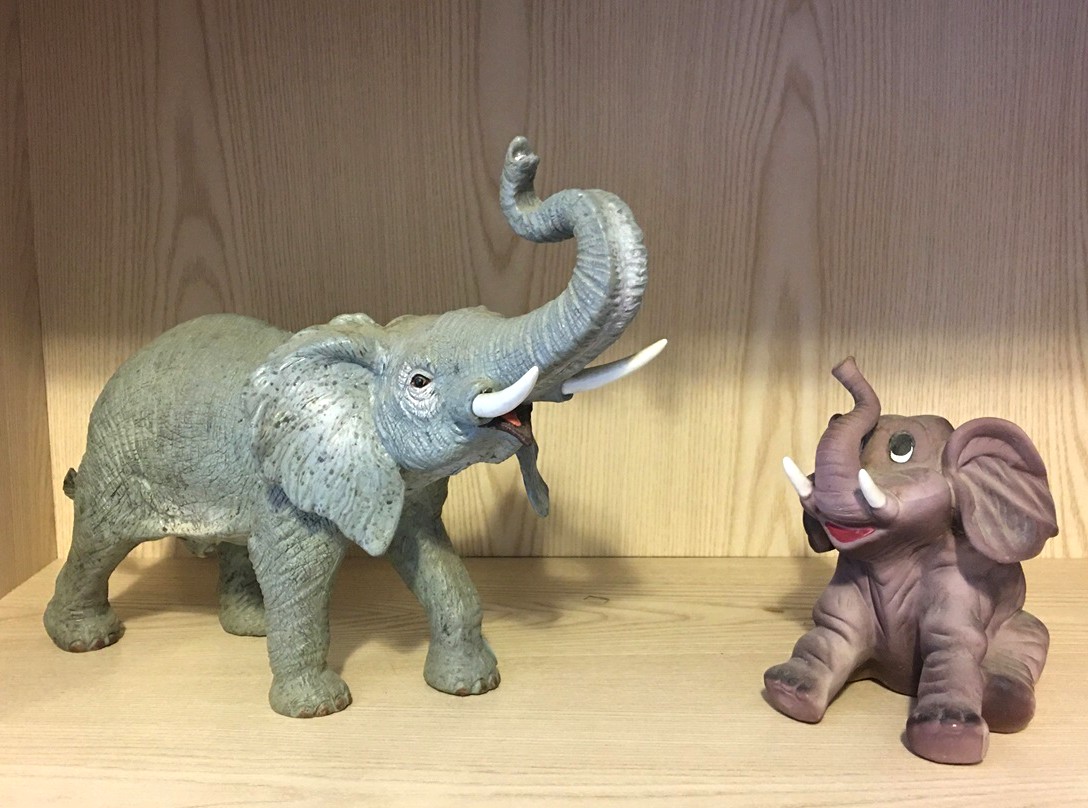 Estate Sale Church Point