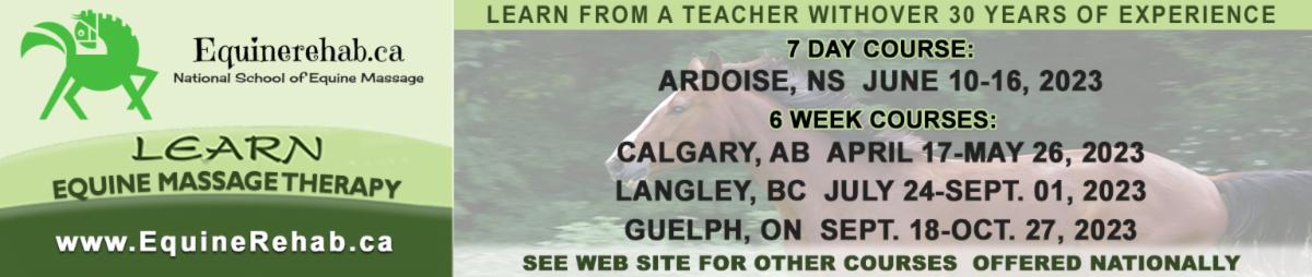 Revised Equine Massage Ad