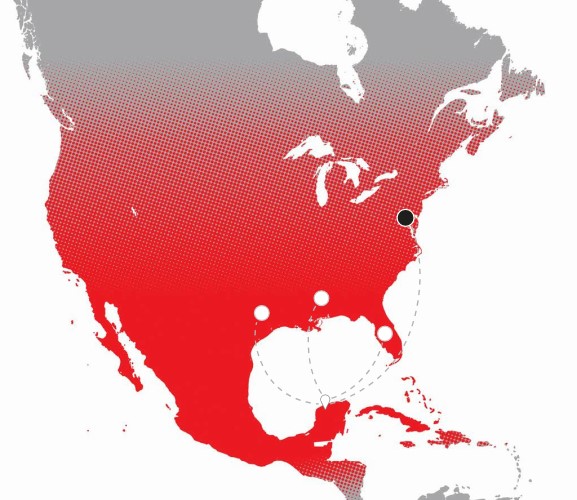 Glass Build 2022 Millet Glass Industry Booth 8038