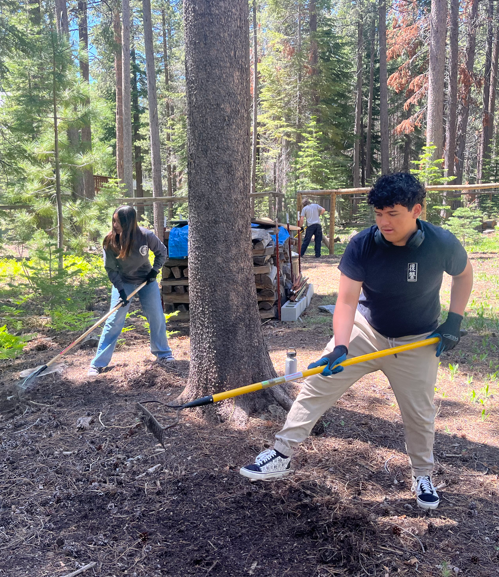High School helpers at the Mewuk-Wintoon Firewise neighborhood  
