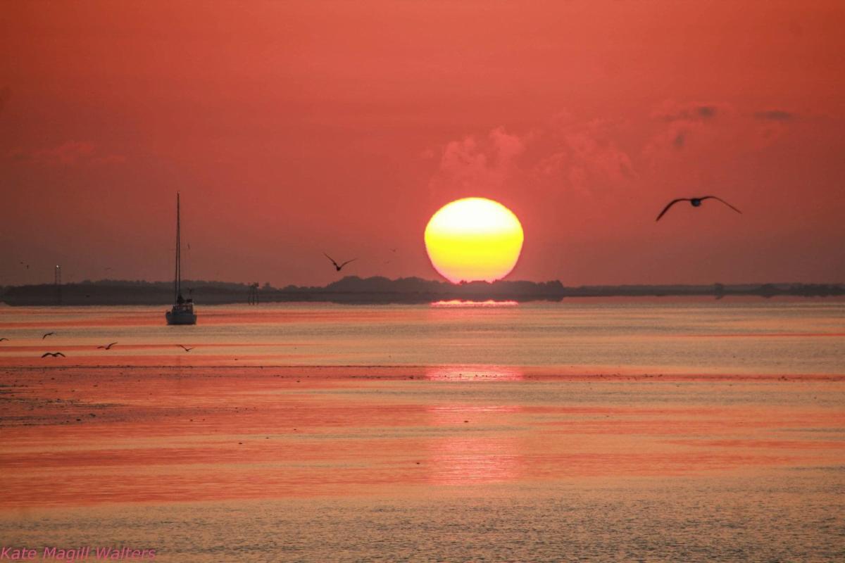 June Updates from Coastal NC and Carolina Plantations Real Estate