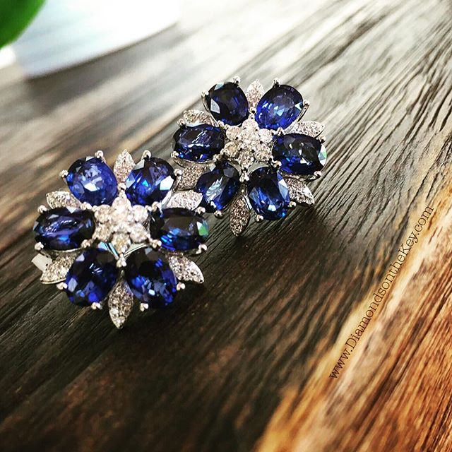 Sapphire Flowers
