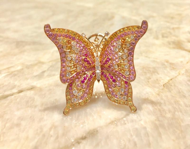 CTCT-20181003_113627