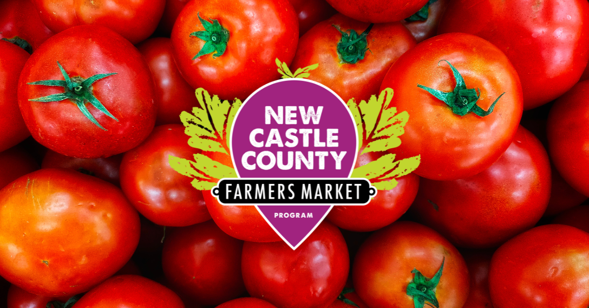 This Week in New Castle County FREE Summer Concert at Glasgow Park