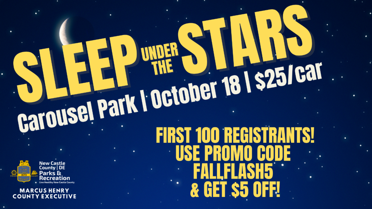 sleep under the stars 2025