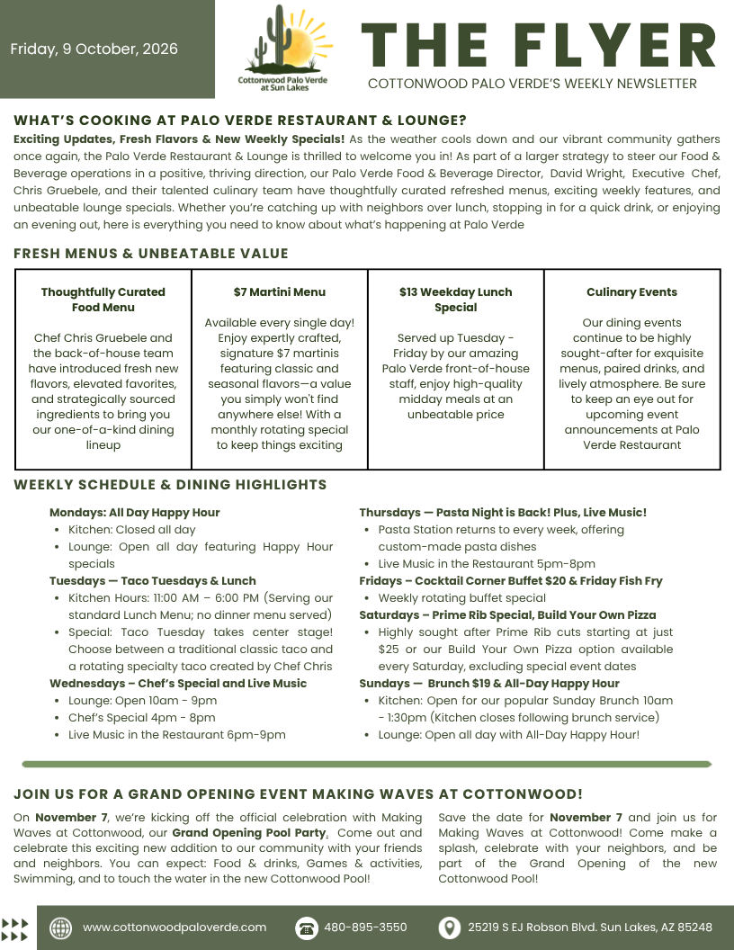 The_Flyer_100226_p1.png
