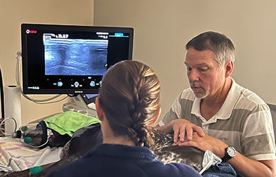 Diagnostic Musculoskeletal Ultrasound course