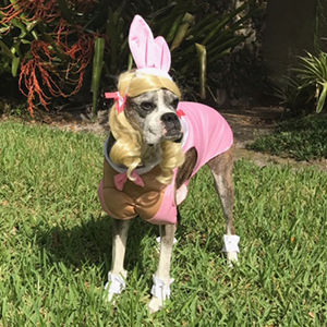 Breezie in costume