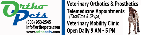 OrthoPets banner ad