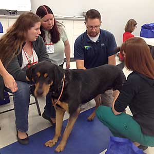 Orthotics and Prosthetics class