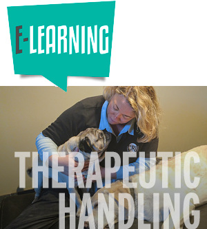 e-Learning Therapeutic Handling