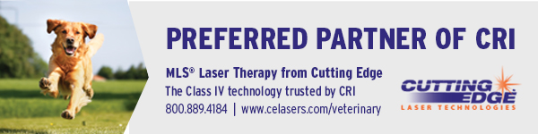 Cutting Edge Laser Technologies banner ad