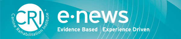 Canine Rehabilitation Institute e-news