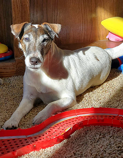 Duncan a Breezie winner