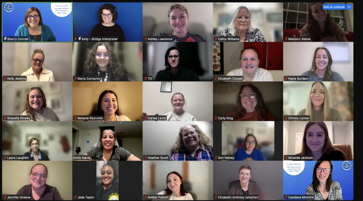 Screenshot of a Zoom participants