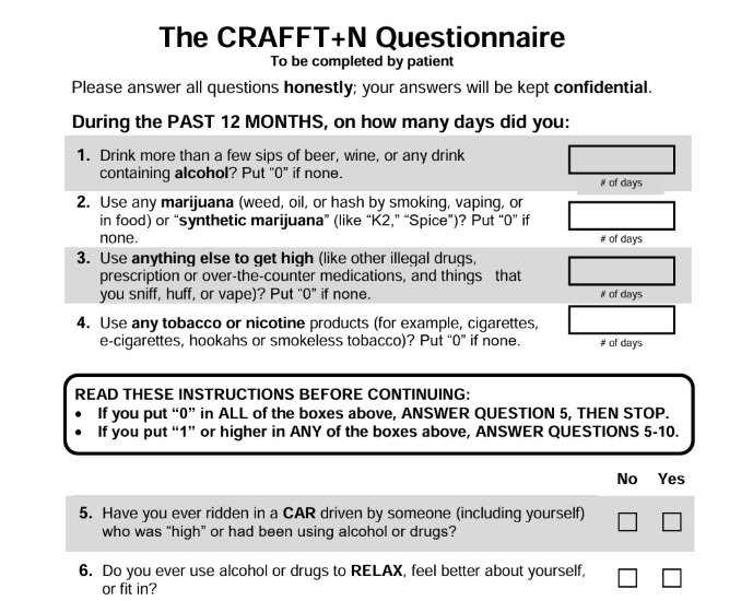 Preview of the CRAFFT+N screening tool.