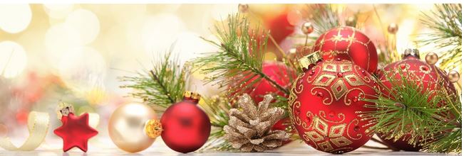 christmas newsletter header